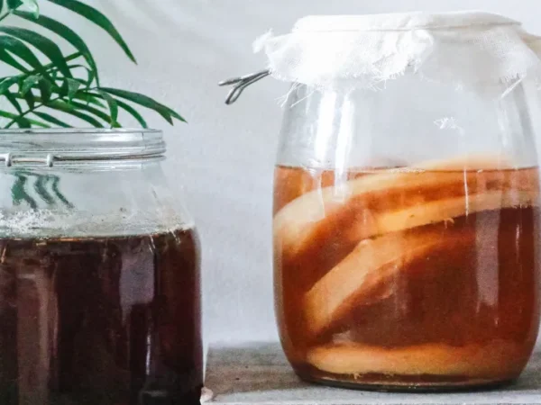 Is kombucha actually good for your microbiome?